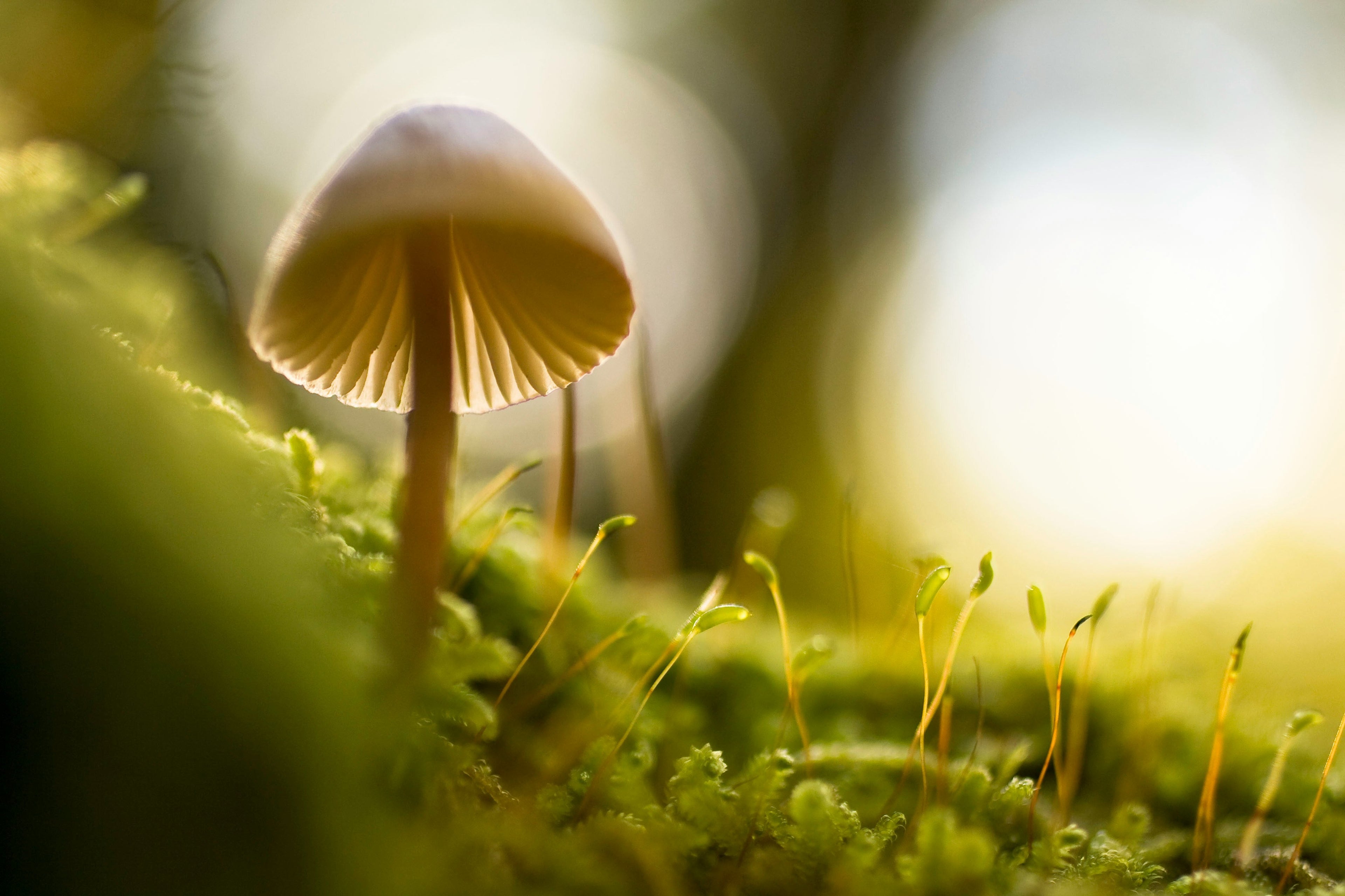Accompagnement individuel
