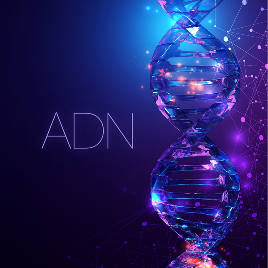 Formation: Recodage de L'ADN Quantique